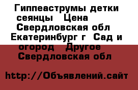 Гиппеаструмы детки сеянцы › Цена ­ 150 - Свердловская обл., Екатеринбург г. Сад и огород » Другое   . Свердловская обл.